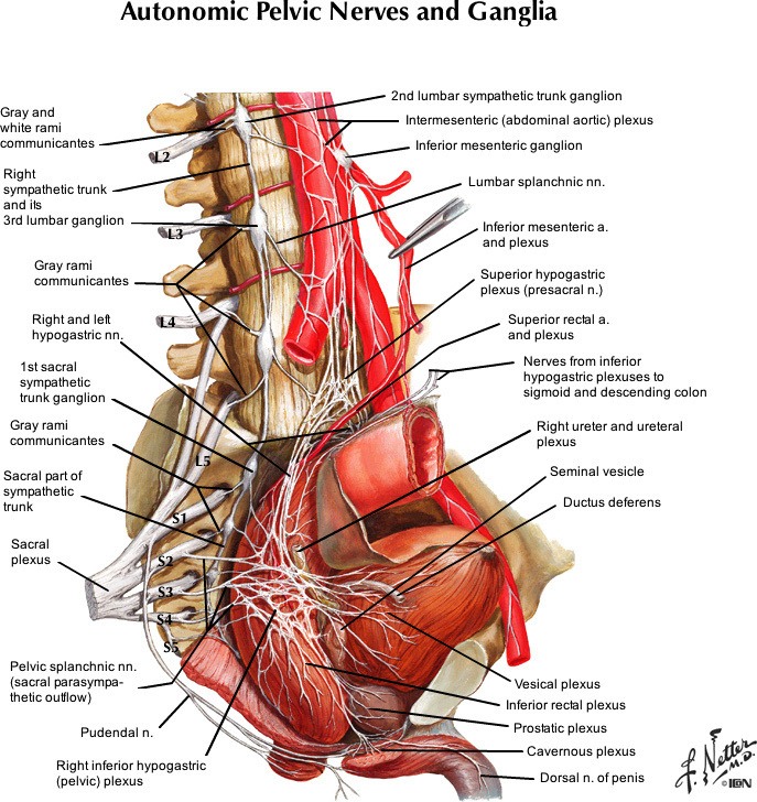 %_tempFileNameFigureII.52_l%
