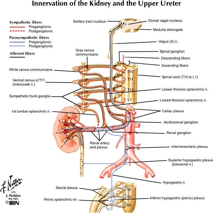 %_tempFileNameFigureII.53_l%