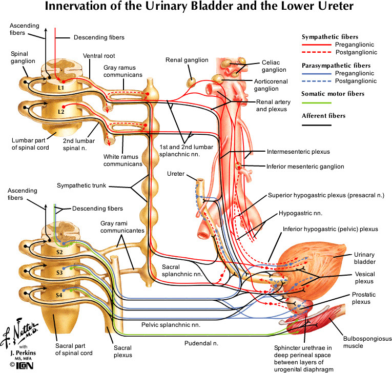 %_tempFileNameFigureII.54_l%