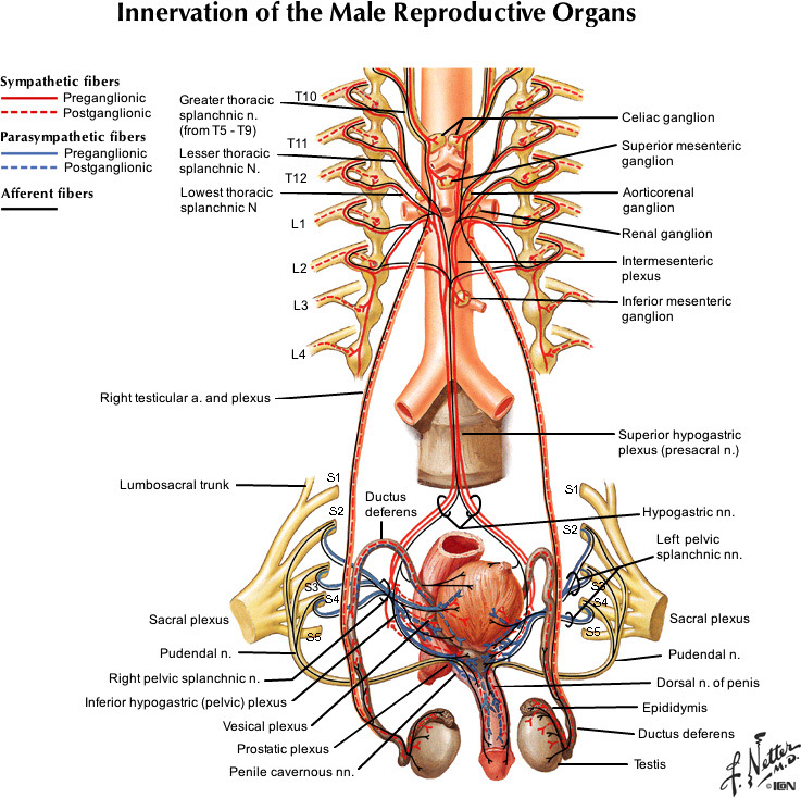%_tempFileNameFigureII.55_l%