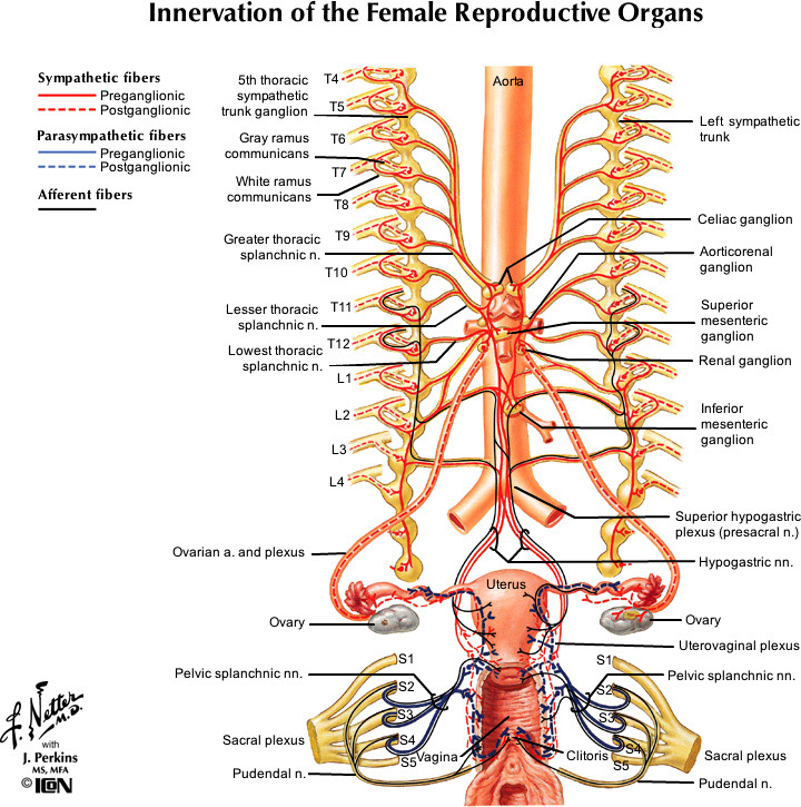 %_tempFileNameFigureII.56_l%