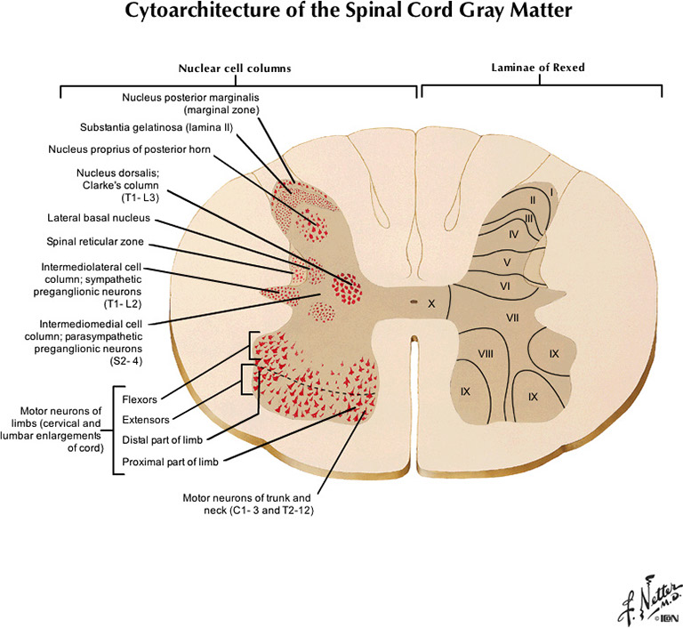 %_tempFileNameFigureII.57_l%