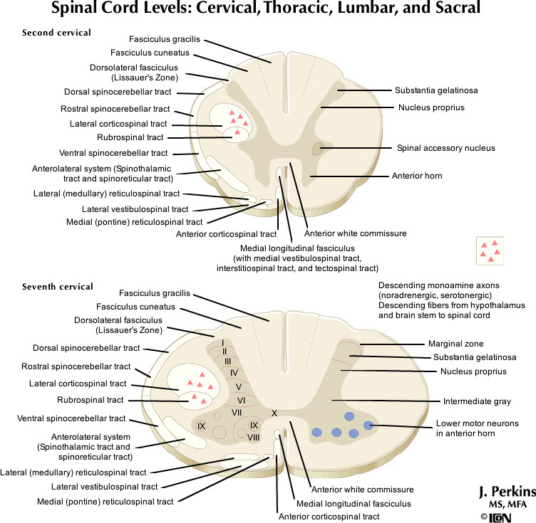 %_tempFileNameFigureII.58A_l%