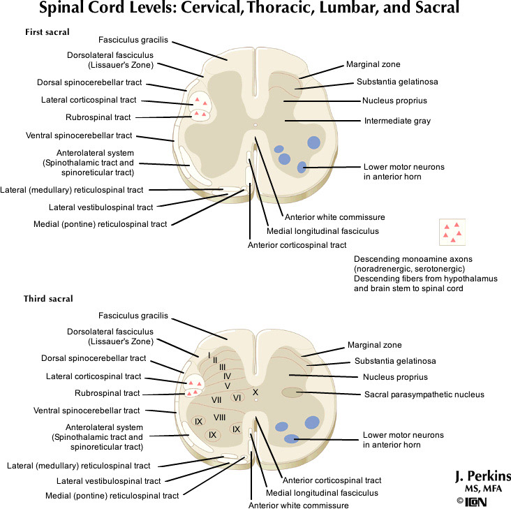 %_tempFileNameFigureII.58D_l%