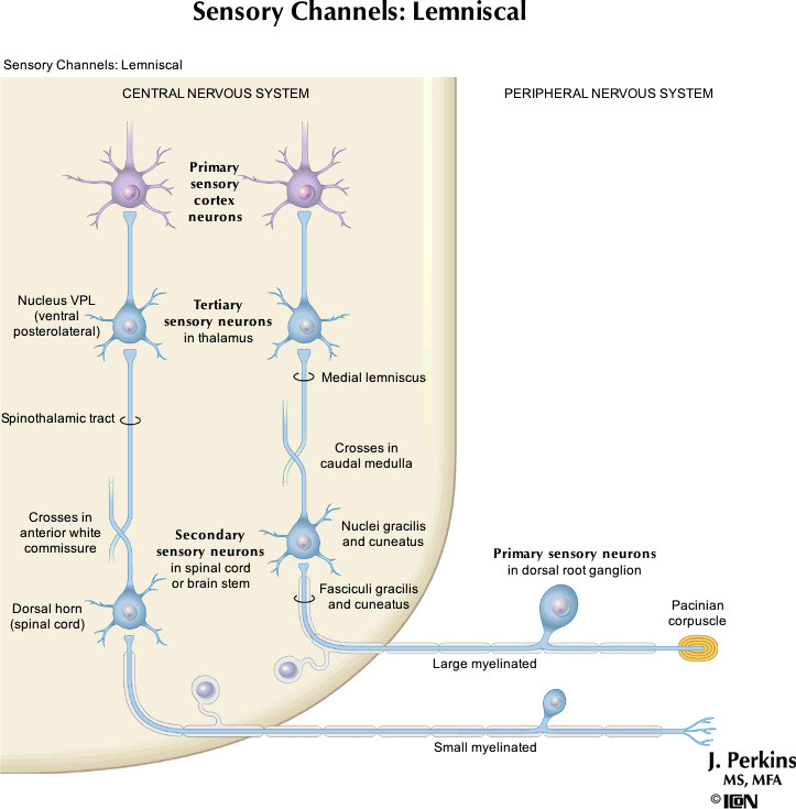 %_tempFileNameFigureII.5_l%