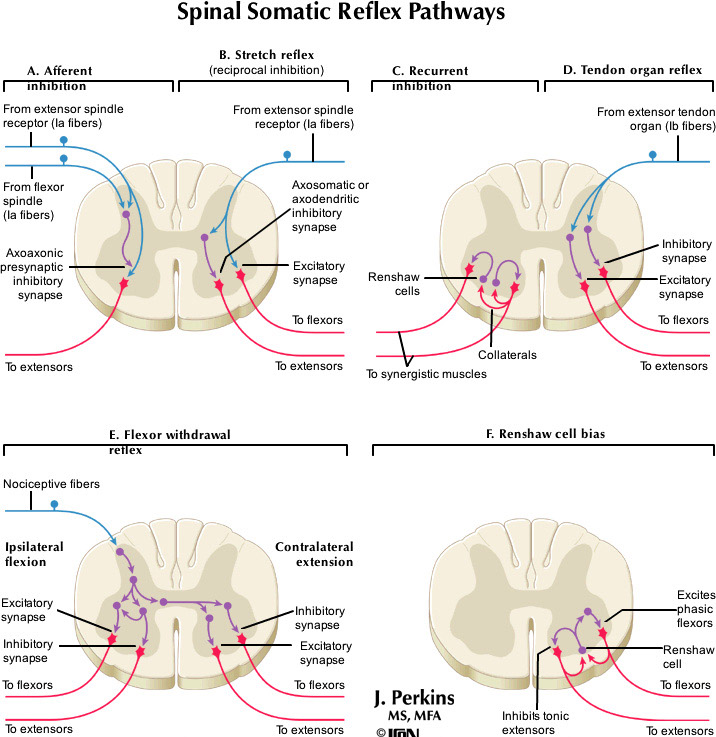 %_tempFileNameFigureII.60_l%