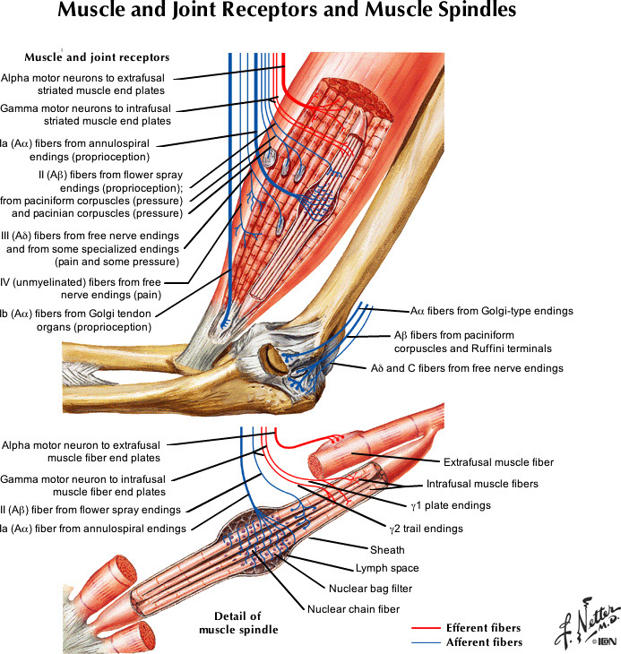 %_tempFileNameFigureII.61_l%