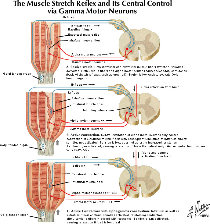 %_tempFileNameFigureII.62_l%