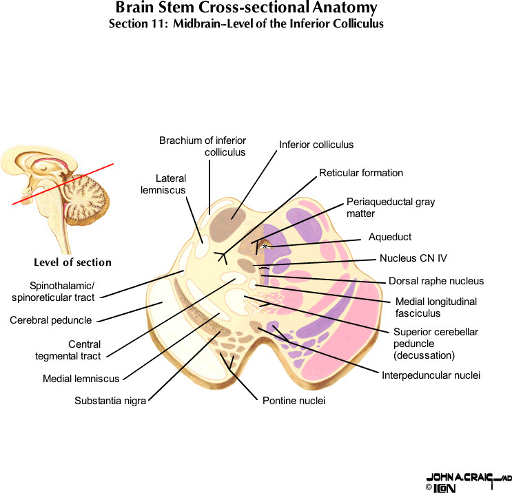 %_tempFileNameFigureII.63.11_l%
