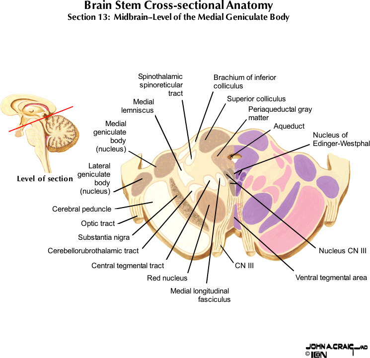 %_tempFileNameFigureII.63.13_l%