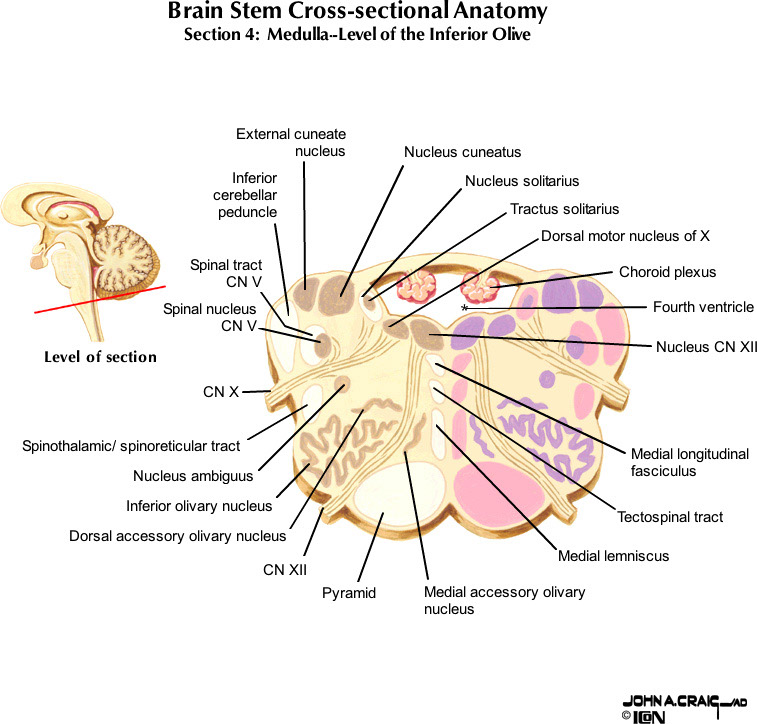 %_tempFileNameFigureII.63.4_l%