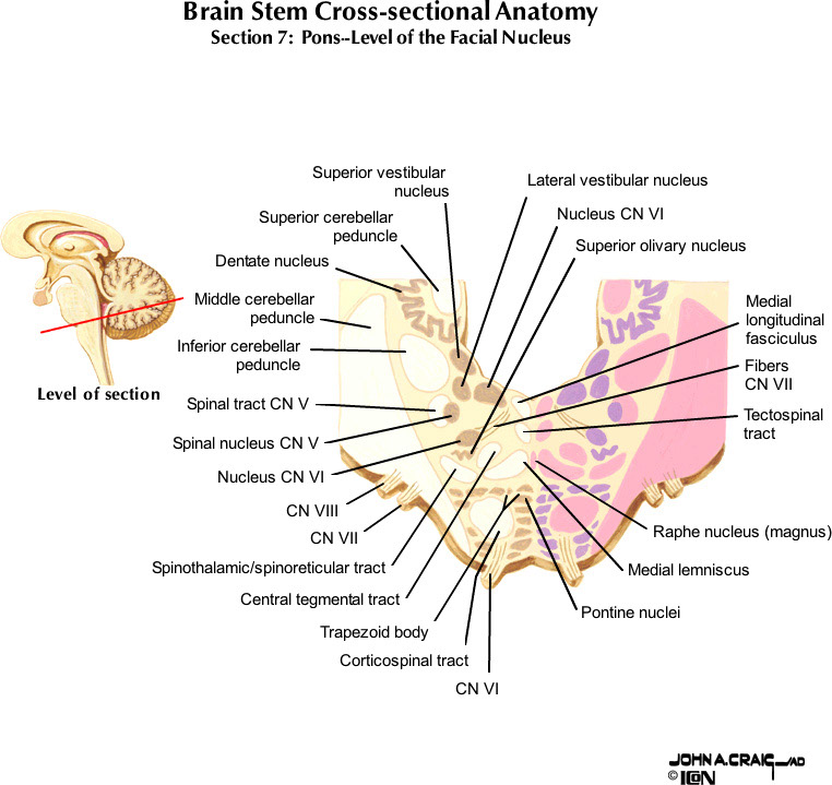 %_tempFileNameFigureII.63.7_l%