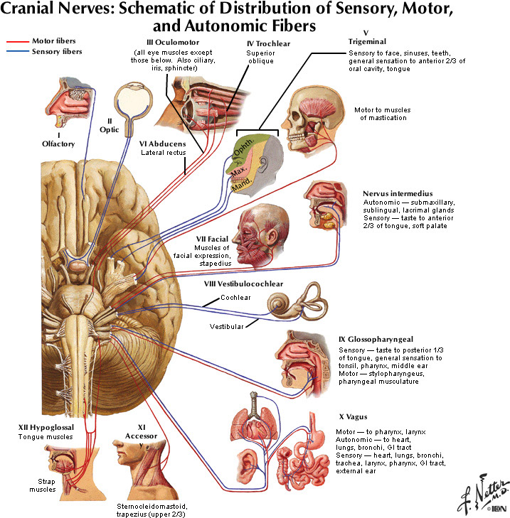 %_tempFileNameFigureII.64_l%
