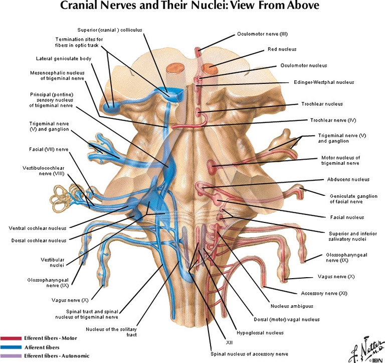 %_tempFileNameFigureII.65_l%