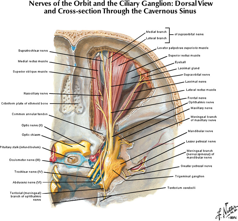 %_tempFileNameFigureII.66A_l%