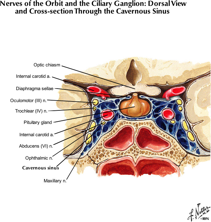 %_tempFileNameFigureII.66C_l%