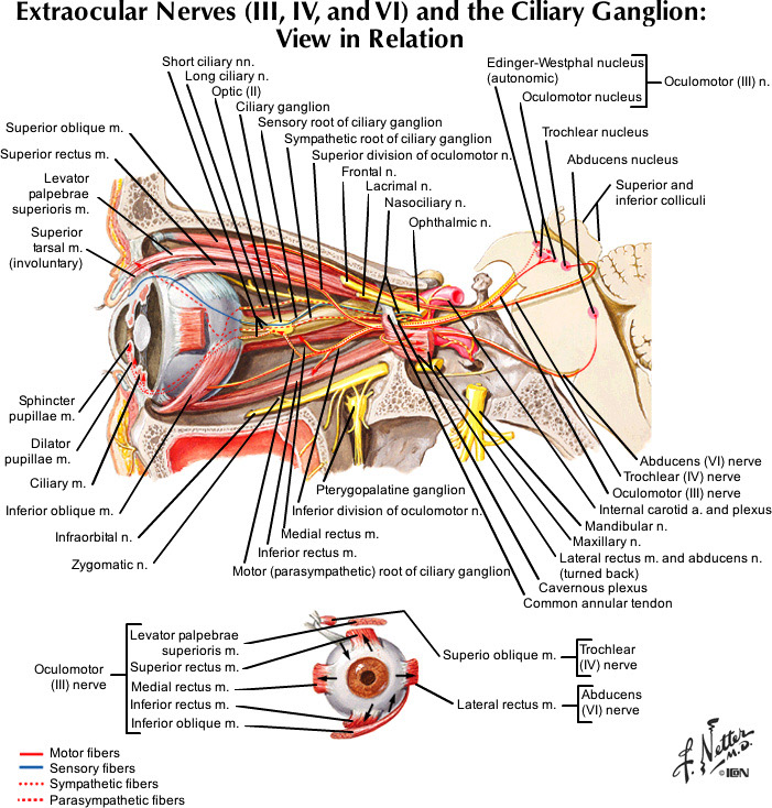 %_tempFileNameFigureII.67_l%