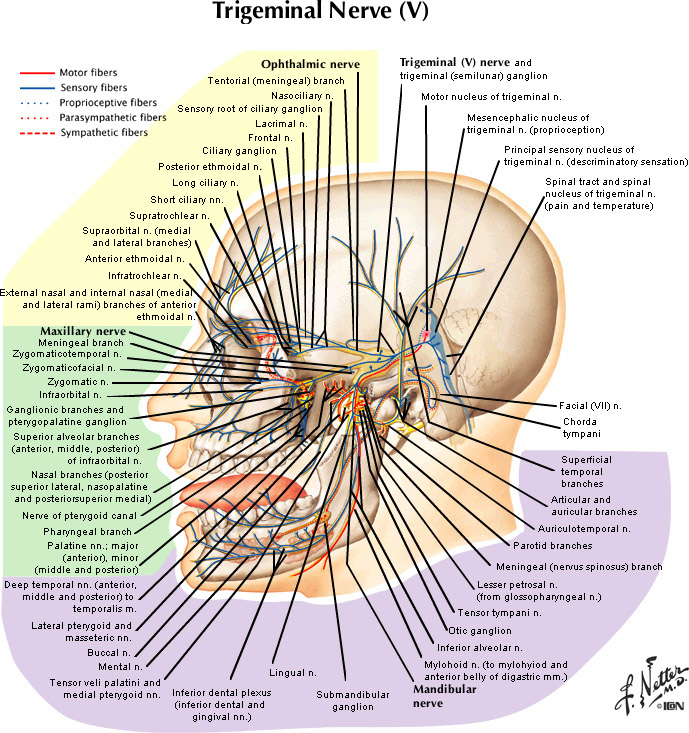 %_tempFileNameFigureII.68_l%