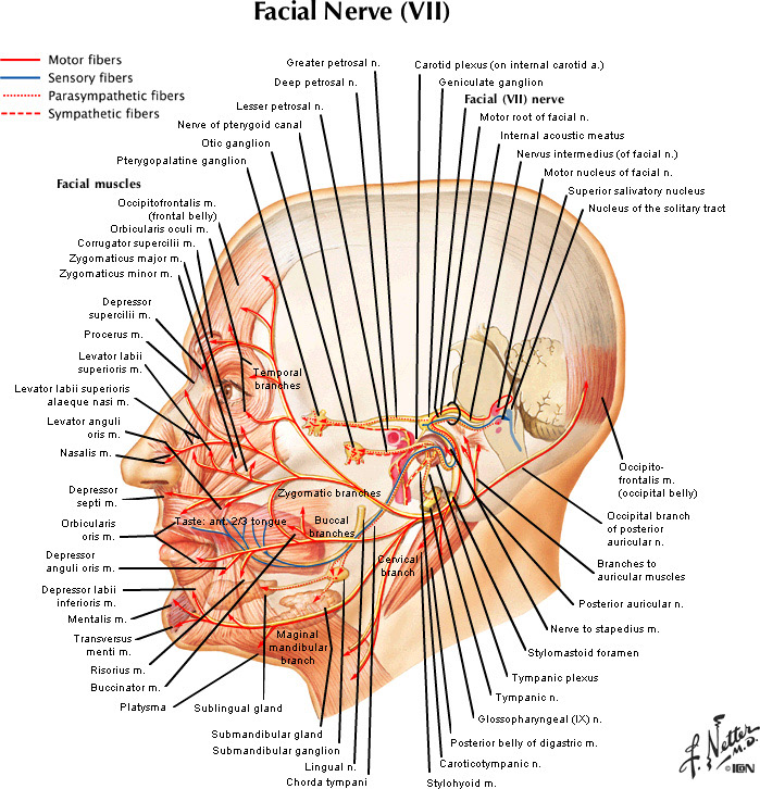 %_tempFileNameFigureII.69_l%