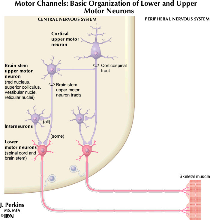 %_tempFileNameFigureII.6_l%