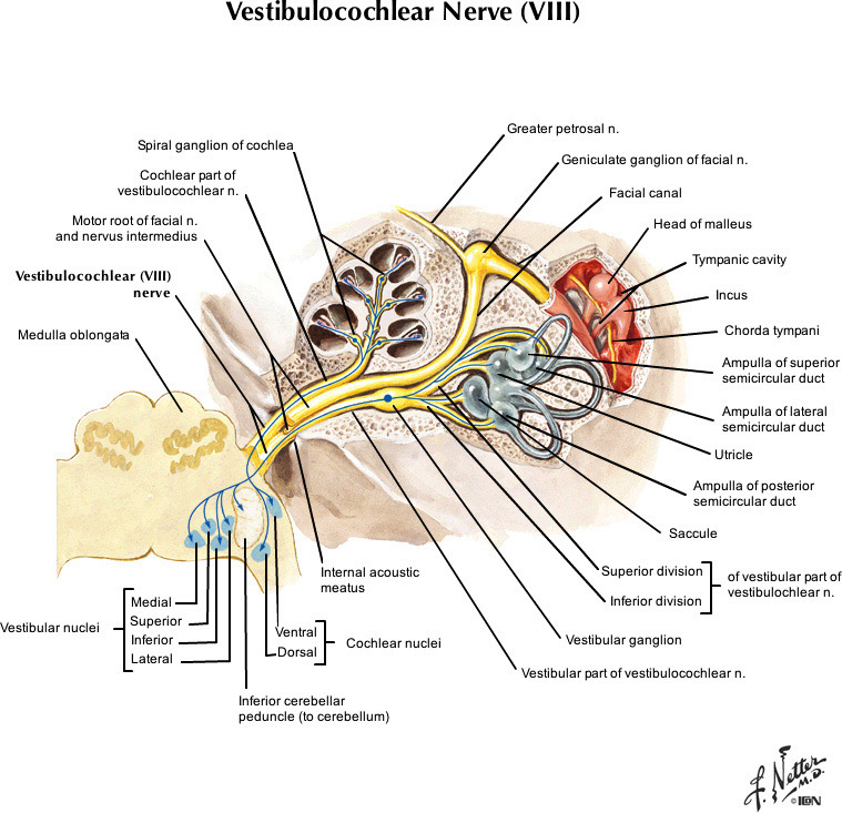 %_tempFileNameFigureII.70_l%