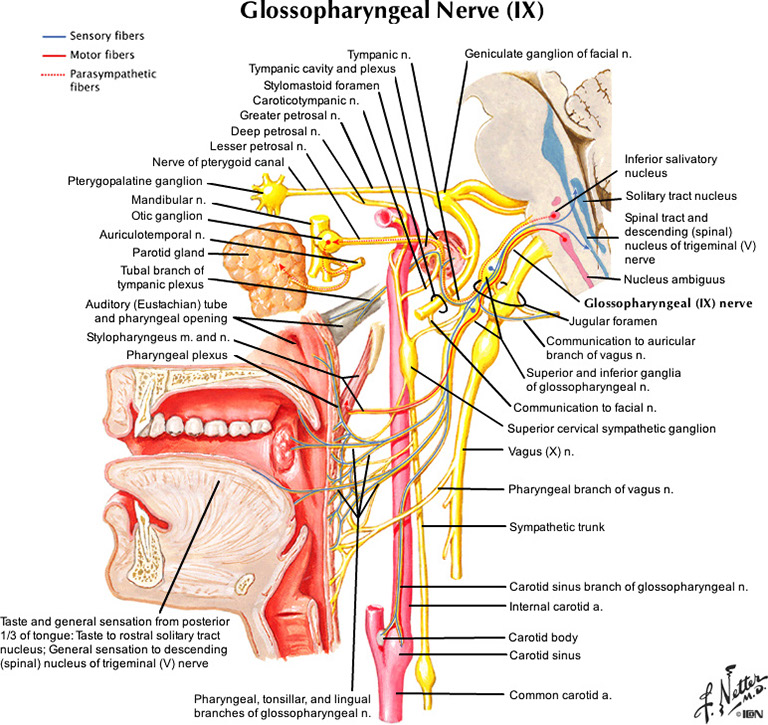 %_tempFileNameFigureII.71_l%
