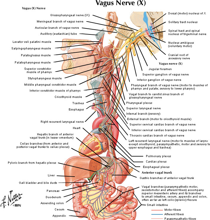 %_tempFileNameFigureII.72_l%