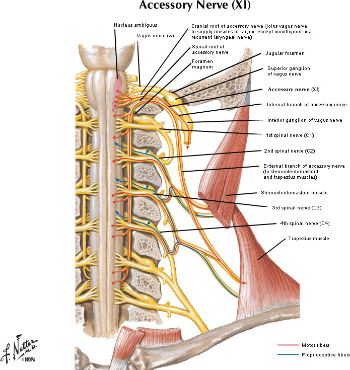 %_tempFileNameFigureII.73_l%