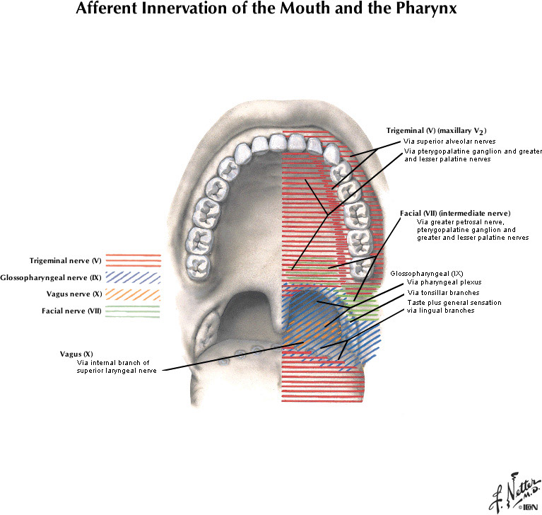 %_tempFileNameFigureII.75A_l%
