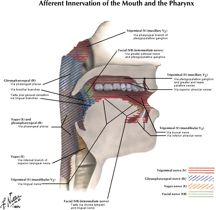 %_tempFileNameFigureII.75B_l%