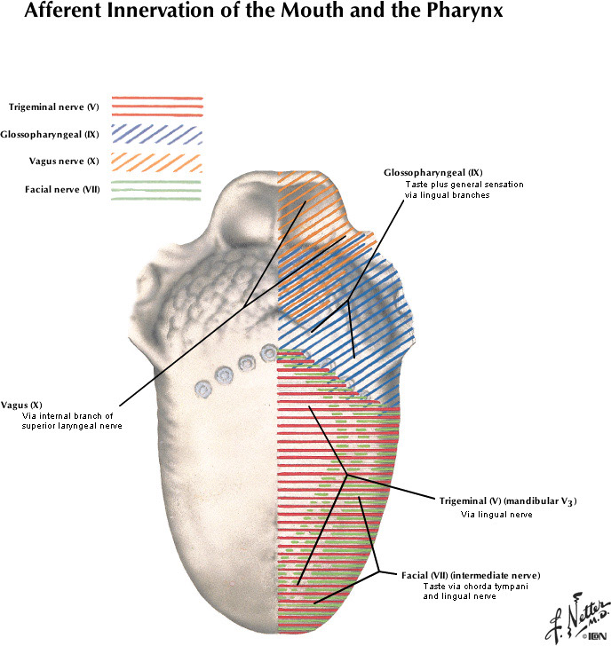 %_tempFileNameFigureII.75C_l%