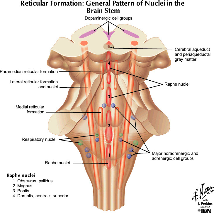 %_tempFileNameFigureII.76_l%