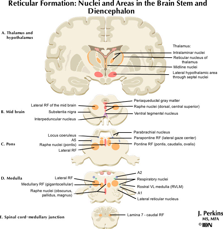 %_tempFileNameFigureII.77_l%