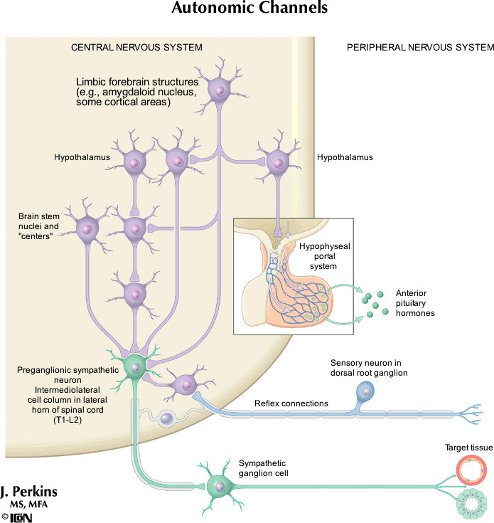 %_tempFileNameFigureII.7_l%