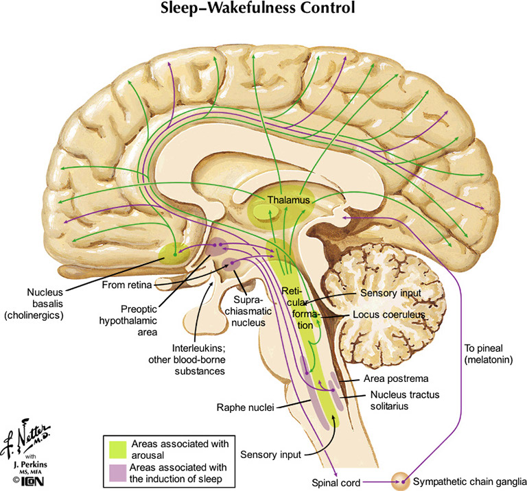 %_tempFileNameFigureII.80_l%