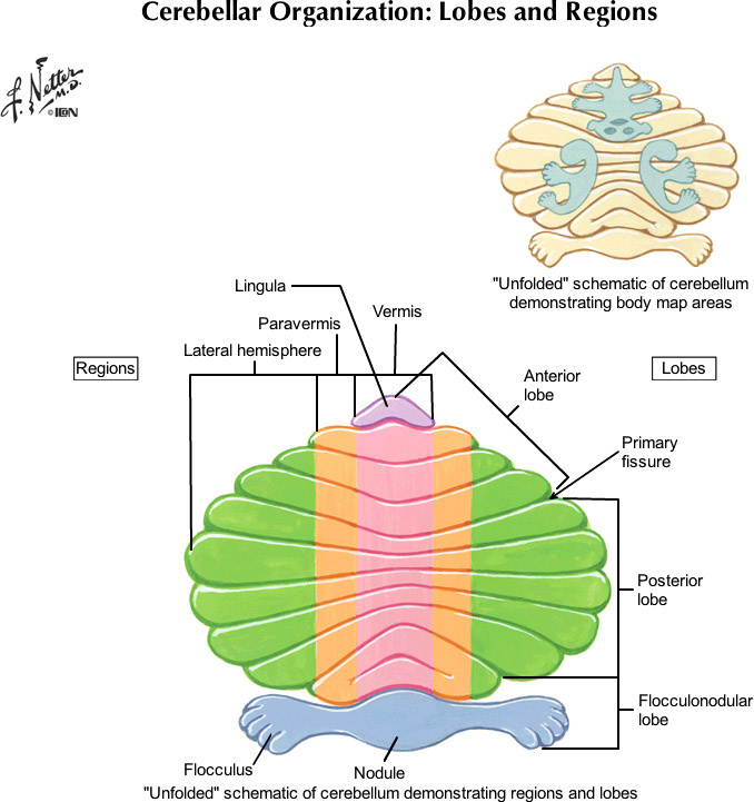 %_tempFileNameFigureII.81_l%
