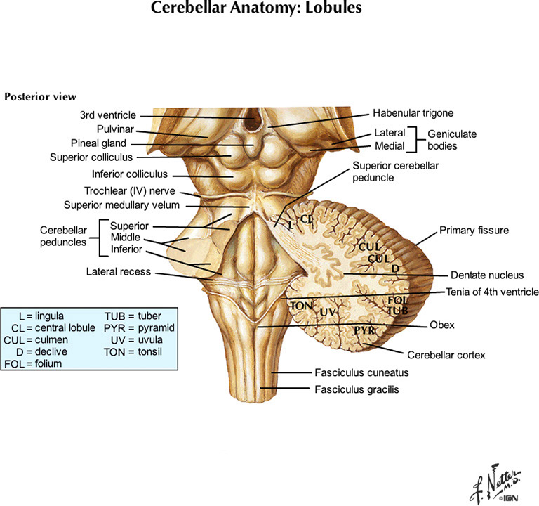 %_tempFileNameFigureII.82A_l%