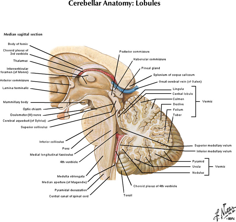 %_tempFileNameFigureII.82B_l%