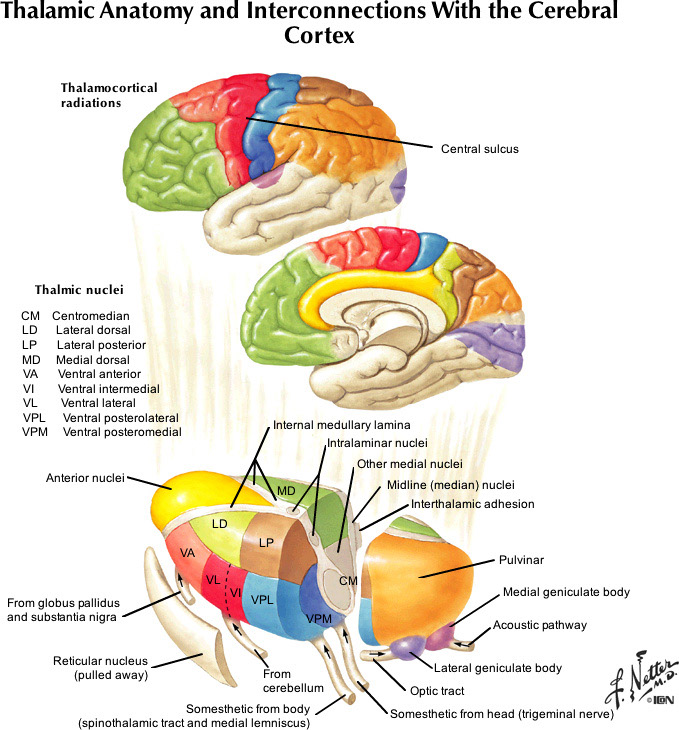 %_tempFileNameFigureII.84_l%