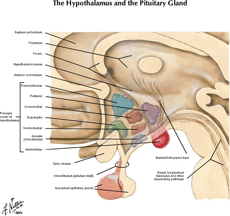 %_tempFileNameFigureII.85A_l%