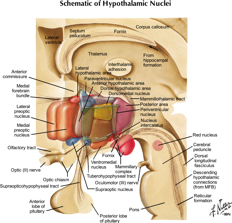 %_tempFileNameFigureII.86_l%