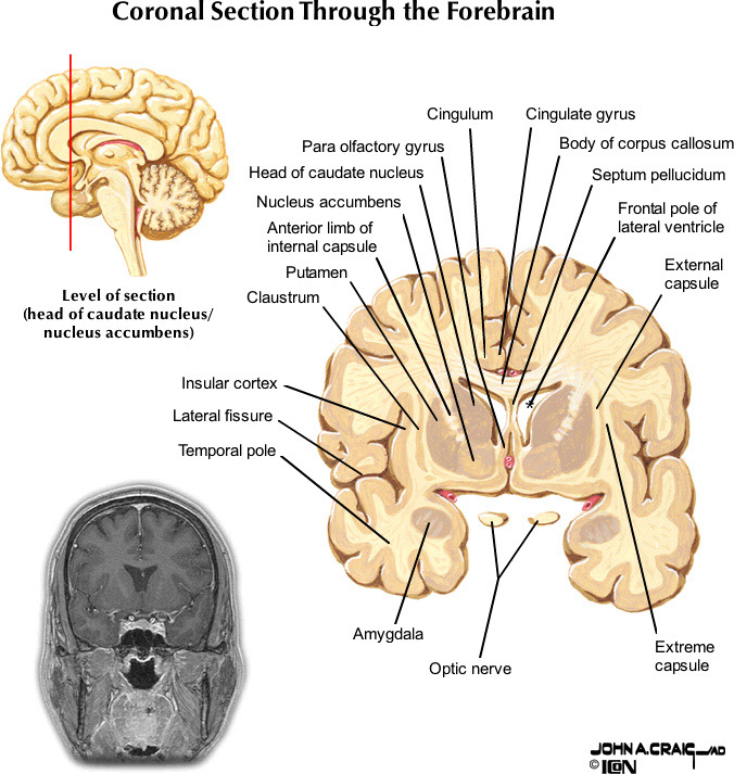 %_tempFileNameFigureII.88.2_l%