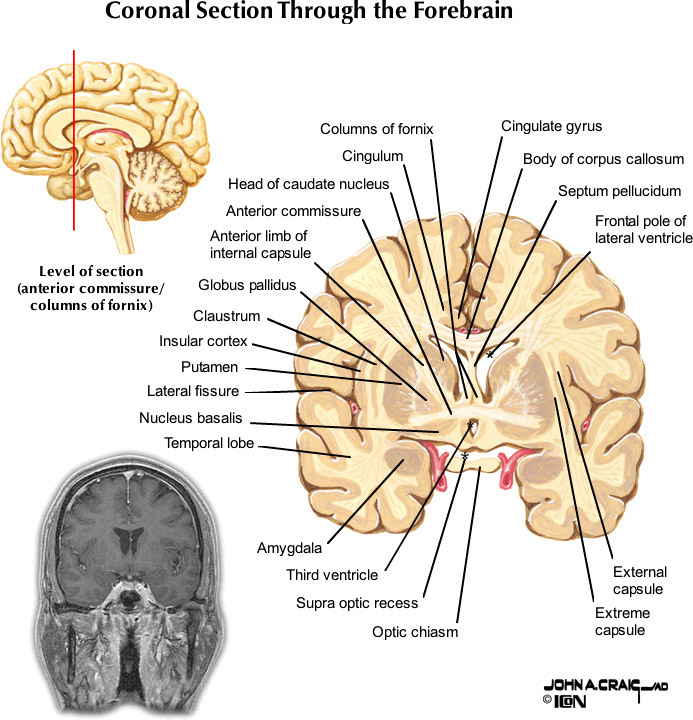 %_tempFileNameFigureII.88.3_l%