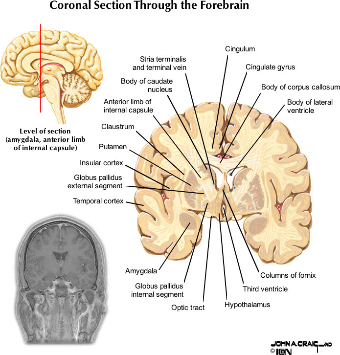 %_tempFileNameFigureII.88.4_l%
