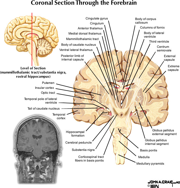 %_tempFileNameFigureII.88.6_l%