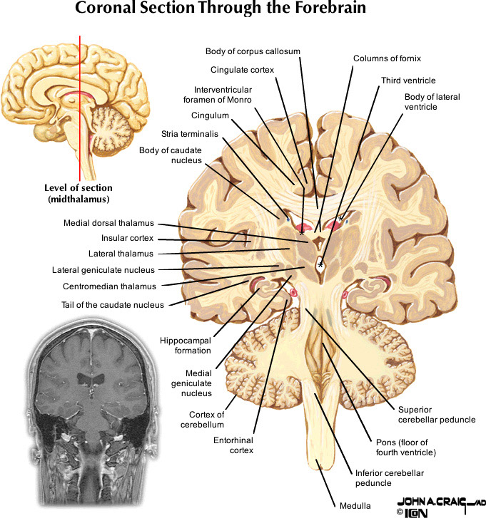 %_tempFileNameFigureII.88.7_l%