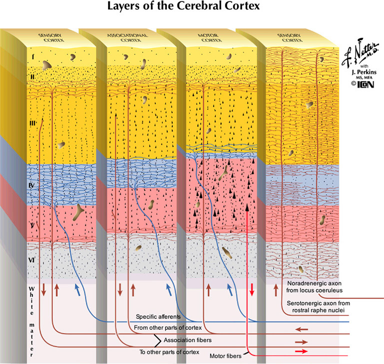%_tempFileNameFigureII.89_l%