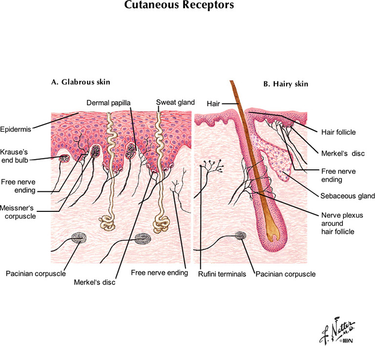 %_tempFileNameFigureII.8A_l%