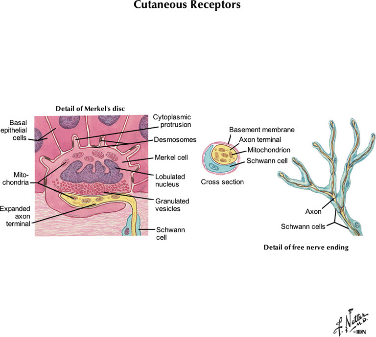 %_tempFileNameFigureII.8B_l%