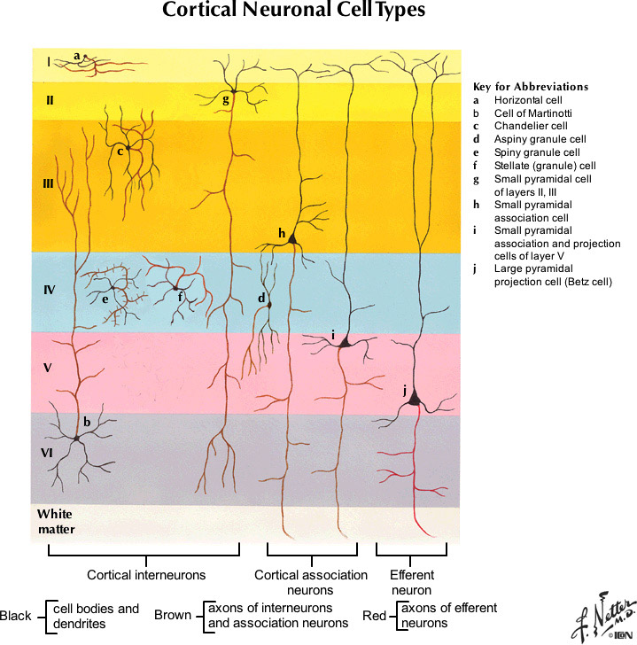 %_tempFileNameFigureII.90_l%
